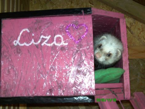liza_kepg.2._4.jpg