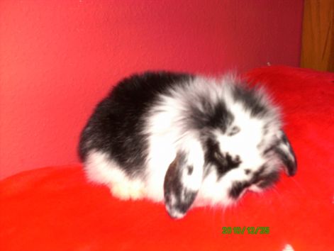 pict0164.jpg
