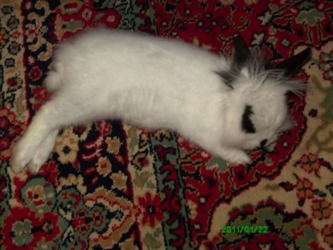 pict0231.jpg