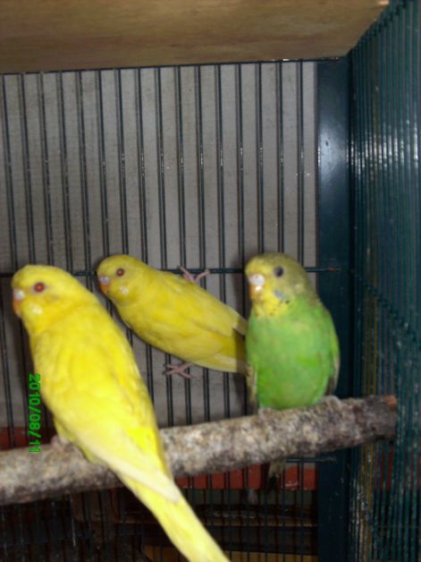 pict0345.jpg