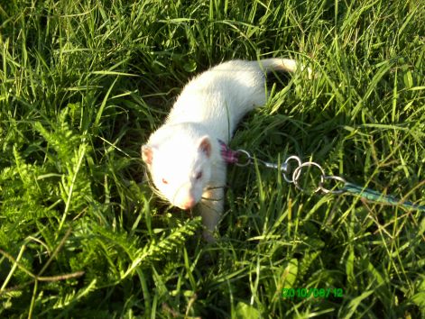 pict0524.jpg