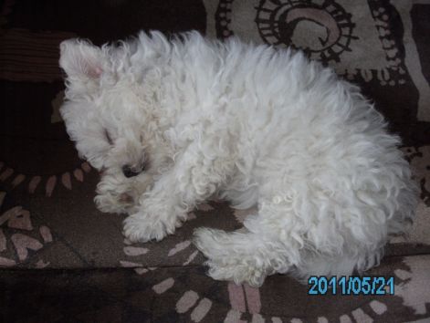 pict9438.jpg
