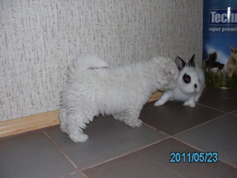 pict9498.jpg